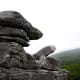 Dolly Sods, West Virginia, USA