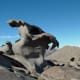 Mount Falconer, Antarctica