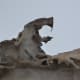 Cobra Ventifact, Mount Falconer, Antarctica