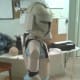 Still to start are the elbow, hand, leg, knee, calve and groin and abdomen armour