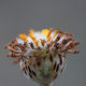 Macrophotography displays so many different types of textures in this image. A even more close-up view is shared below.
