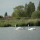 sticklebarn-tavern-birds