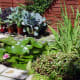 Our Original wildlife pond
