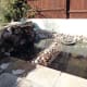 The new and latest wildlife pond in our organic garden