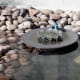 Simple trickle of water into an array of dishes just above water level.