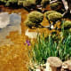 Japanese Tea Garden in Golden Gate Park
