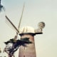 One of 2 windmills in Golden Gate Park