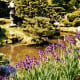 Japanese Tea Garden in Golden Gate Park
