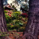 Japanese Tea Garden in Golden Gate Park