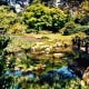 San Francisco Botanical Garden photos / Strybing Arboretum
