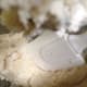 Scrape down the mixture once.