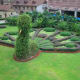 Peacock shrubbery
