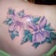 ivy-tattoo-designs-and-meanings-ivy-flower-tattoos-and-vine-tattoos