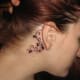 ivy-tattoo-designs-and-meanings-ivy-flower-tattoos-and-vine-tattoos