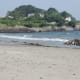 Nice Beach off of Ocean Avenue in Kennebunkport, Maine