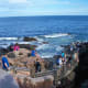 Thunder Hole @ Acadia National Park