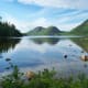 Jordan Pond @ Acadia National Park