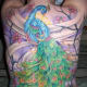 peacock-tattoos-and-meanings-peacock-feather-tattoos-and-meanings-peacock-tattoo-designs