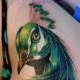 peacock-tattoos-and-meanings-peacock-feather-tattoos-and-meanings-peacock-tattoo-designs