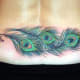 peacock-tattoos-and-meanings-peacock-feather-tattoos-and-meanings-peacock-tattoo-designs