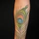 peacock-tattoos-and-meanings-peacock-feather-tattoos-and-meanings-peacock-tattoo-designs