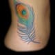 peacock-tattoos-and-meanings-peacock-feather-tattoos-and-meanings-peacock-tattoo-designs
