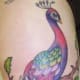 peacock-tattoos-and-meanings-peacock-feather-tattoos-and-meanings-peacock-tattoo-designs