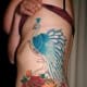 peacock-tattoos-and-meanings-peacock-feather-tattoos-and-meanings-peacock-tattoo-designs