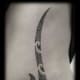 hook-tattoos-and-designs-hook-tattoo-meanings-hawaiian-hook-tattoos