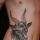 goat-tattoos-and-designs-goat-tattoo-meanings-goat-tattoo-gallery