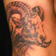 goat-tattoos-and-designs-goat-tattoo-meanings-goat-tattoo-gallery