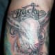 goat-tattoos-and-designs-goat-tattoo-meanings-goat-tattoo-gallery