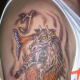 goat-tattoos-and-designs-goat-tattoo-meanings-goat-tattoo-gallery