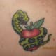 apple-tattoos-and-designs-apple-tattoo-meanings-and-ideas-apple-tattoo-pictures
