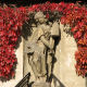 A beautiful red vine framing the statue on the old town hall in Quedlinburg, Germany.