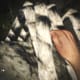 Archaeology 101 - Gameplay 07: Far Cry 3 Relic 17, Spider 17.