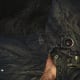 Archaeology 101 - Gameplay 09: Far Cry 3 Relic 17, Spider 17.