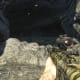 Archaeology 101 - Gameplay 03: Far Cry 3 Relic 109, Heron 19.