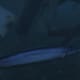 Archaeology 101 - Gameplay 04: Far Cry 3 Relic 47, Shark 17.