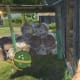 Archaeology 101 - Gameplay 02: Far Cry 3 Relic 105, Heron 15.