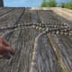 Archaeology 101 - Gameplay 05: Far Cry 3 Relic 29, Spider 29.