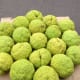 Base layer of Hedge Apple Christmas Tree
