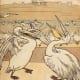 The Pelican Chorus - title