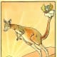 The Duck and the Kangaroo
