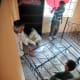 The bed is assembled in the bedroom within minutes. Also note the special flooring that has been laid out.
