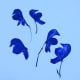 how-to-press-flowers-for-cards-and-pictures