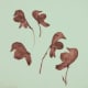 how-to-press-flowers-for-cards-and-pictures
