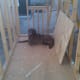 Maggie staked out her claim early