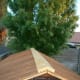 Trim over roof joint. Note that there was a large plastic sheet draped over the rafters prior to installation of the roof sections