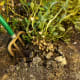 a-list-of-philippine-root-crops